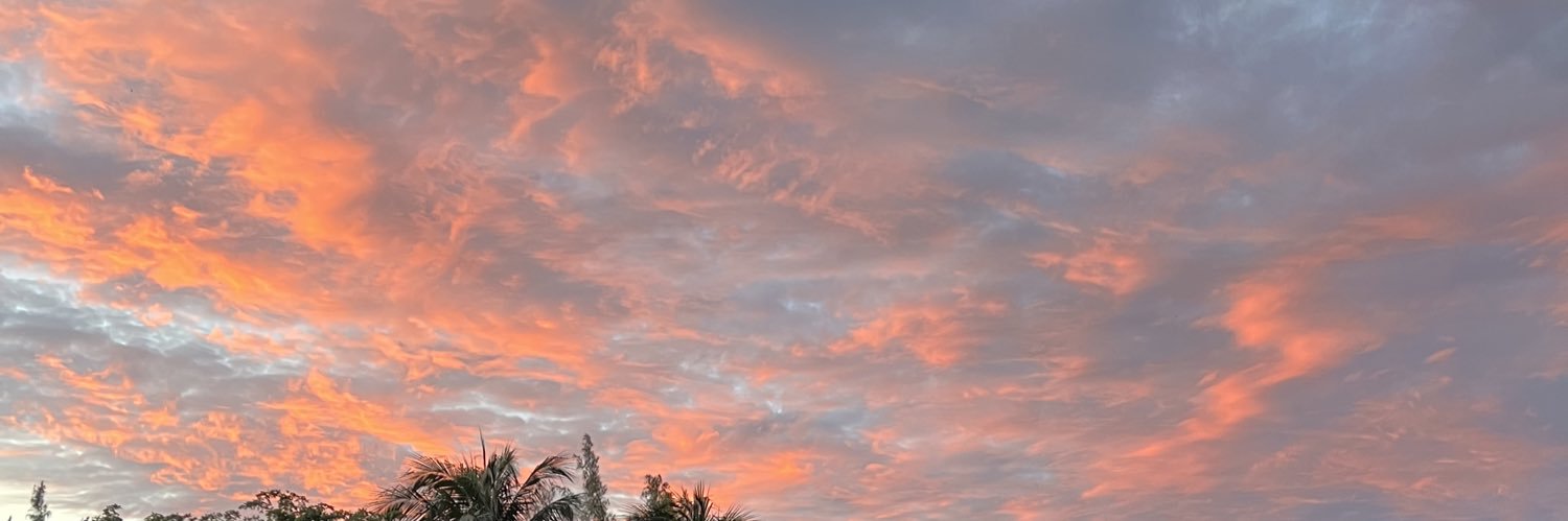 DeandaAlexis's profile banner image