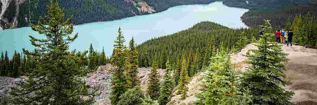 True North 🇨🇦🍁 banner