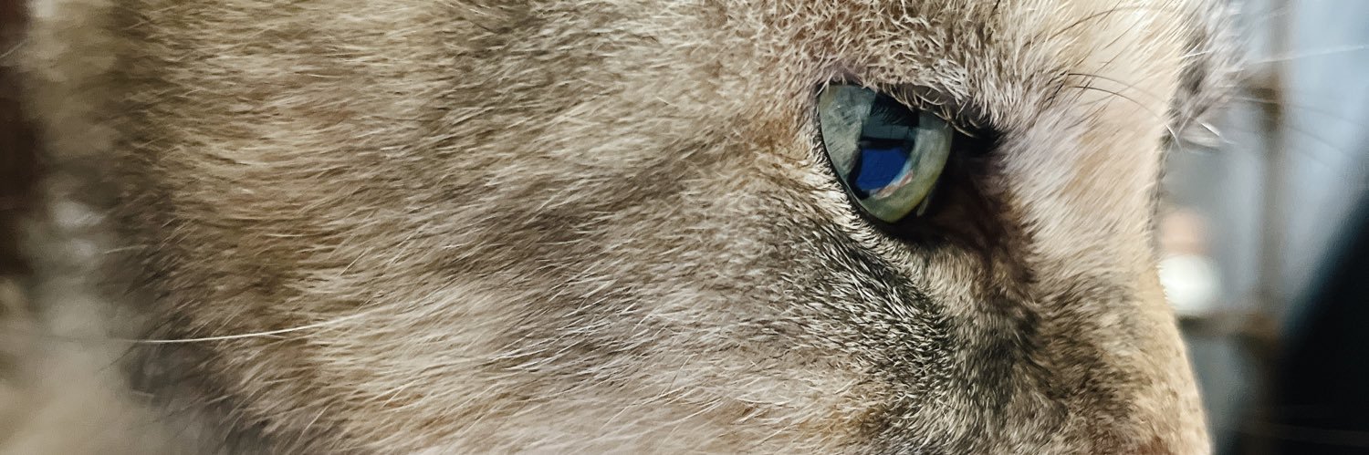 matsuknek's profile banner image