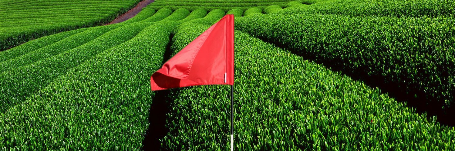 greenteeTV's profile banner image