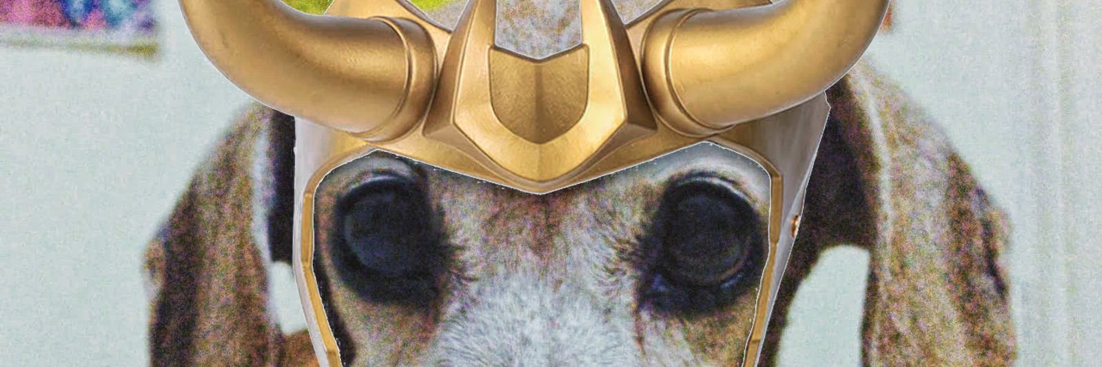 smeynard's profile banner image