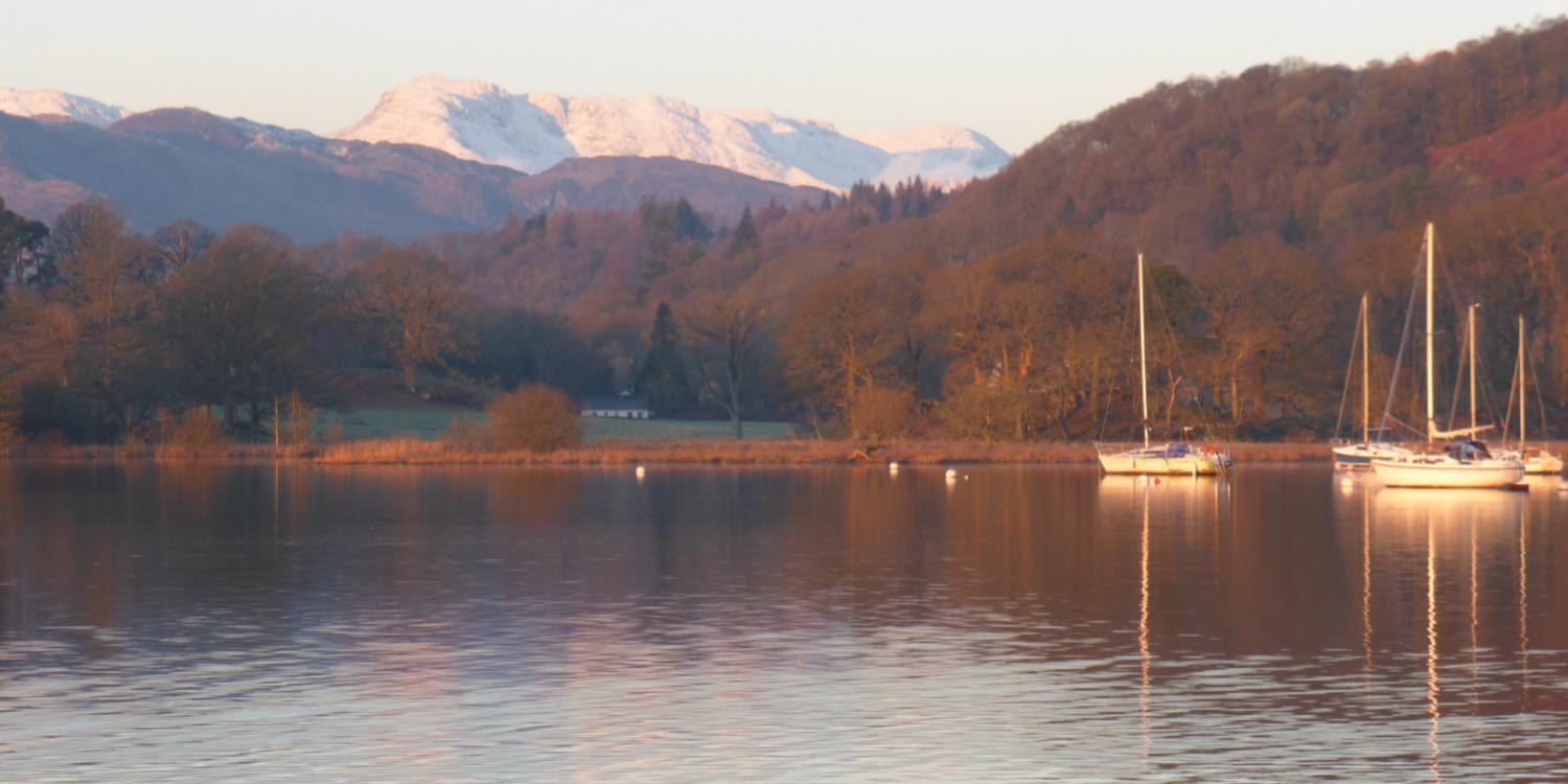 SueHarding663's profile banner image
