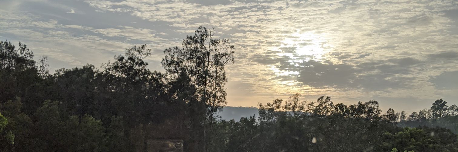 Carl Davidson banner