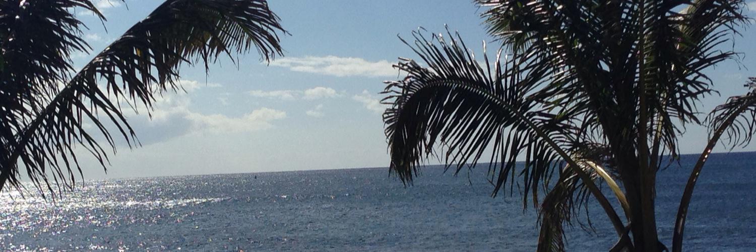 hide2_812's profile banner image