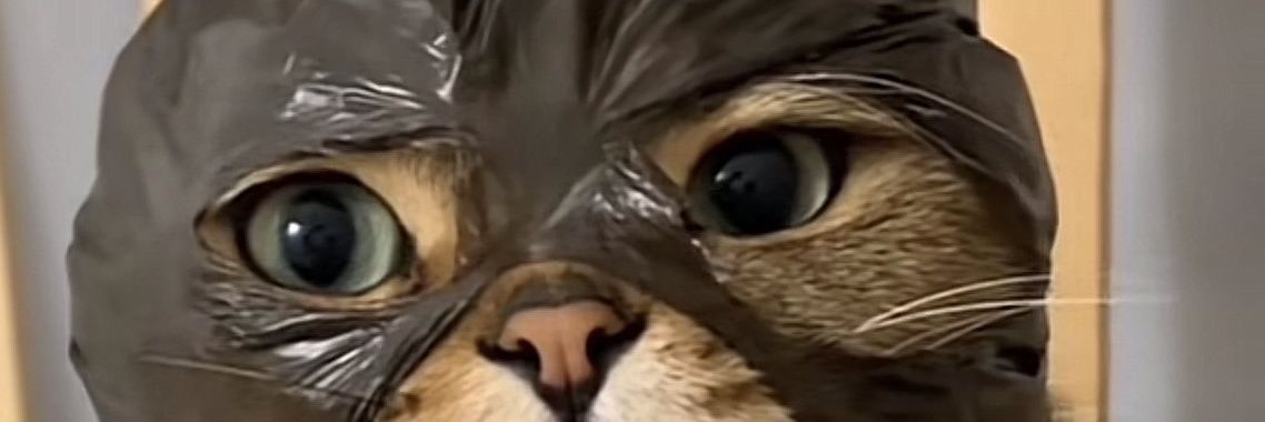 SnapKomodo𓆩☯𓆪 banner