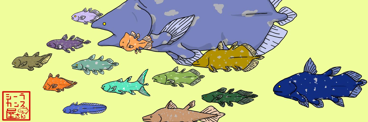 coelacanthshop's profile banner image