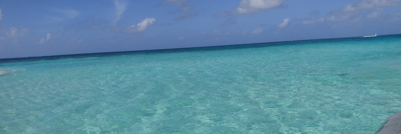 Pescadopj's profile banner image