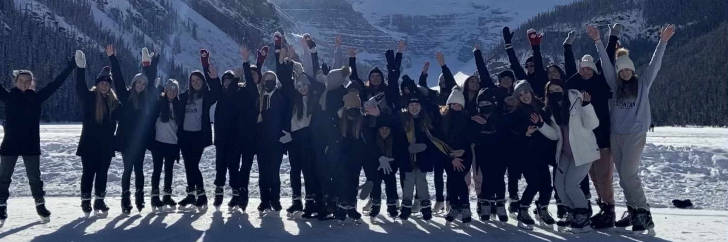 Synchronicity banner