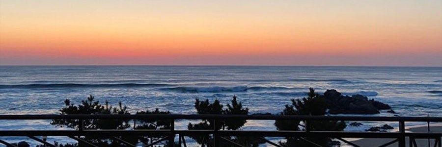 somniadailbit's profile banner image