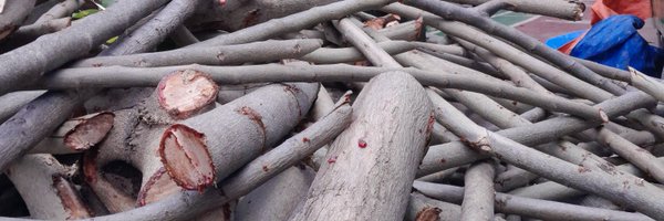 HuseinShelly Profile Banner