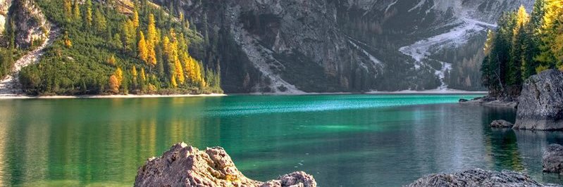 Filibertol's profile banner image