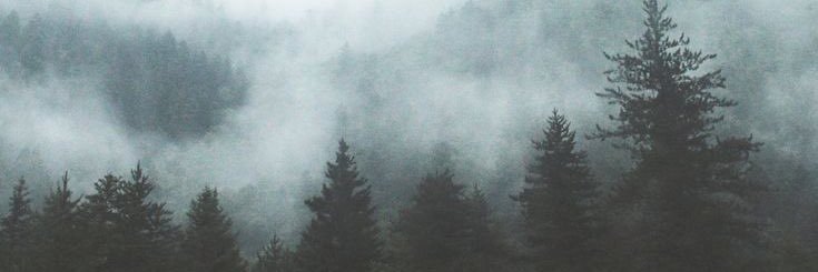 diegomiligram's profile banner image