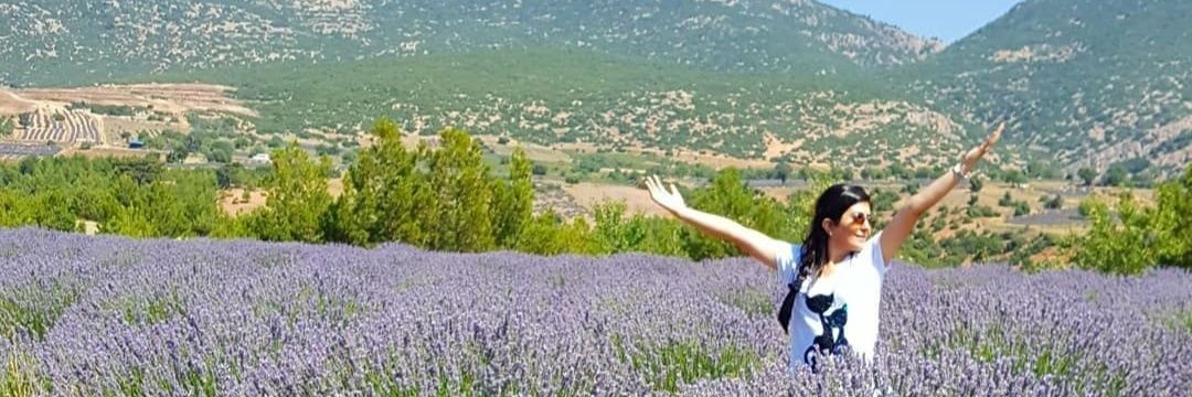 FTaybara's profile banner image