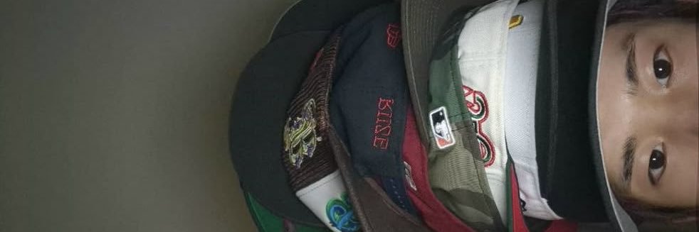 kiisulee's profile banner image