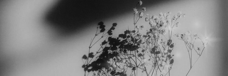 黯 banner