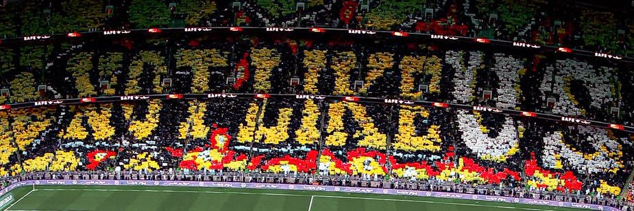 li_out1's profile banner image