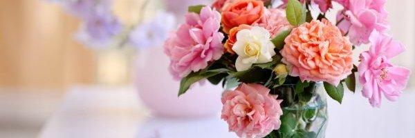 suu66591535's profile banner image