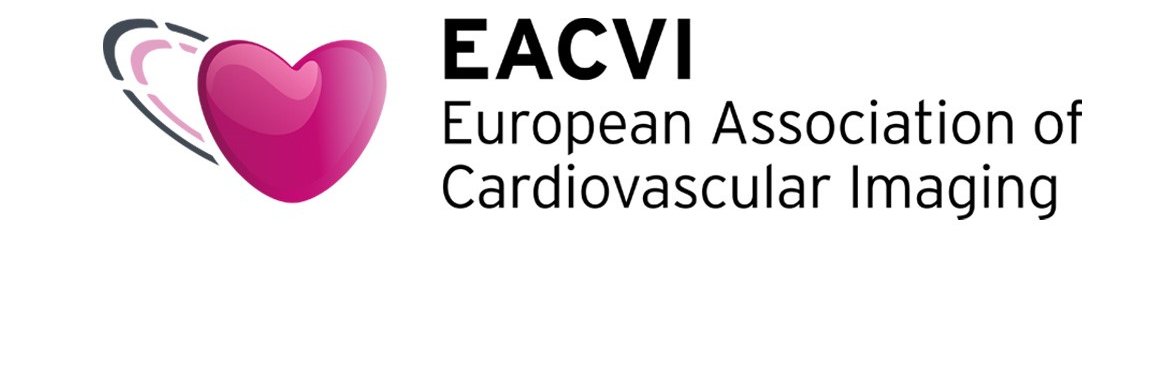 EACVI President banner
