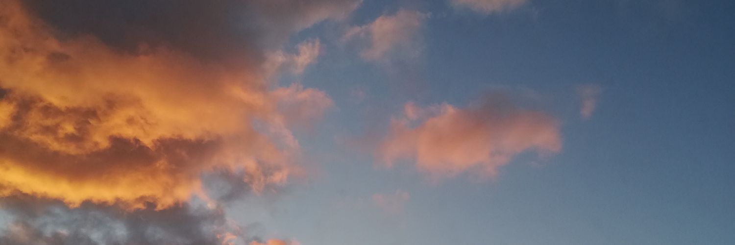 angelacp261's profile banner image