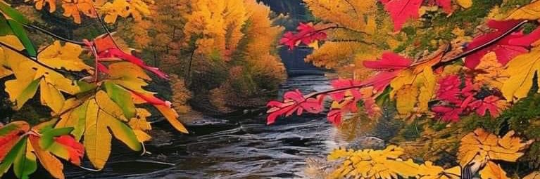 Richard Fury🇺🇸 banner