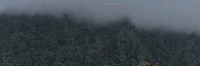 xnad__'s profile banner image