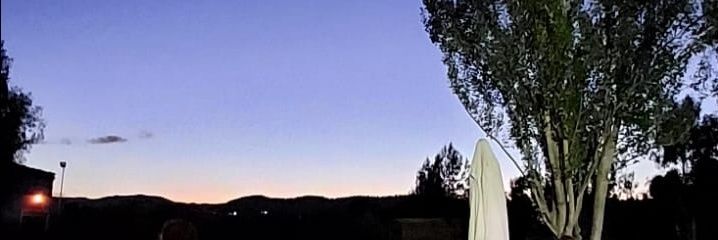 Guirao banner