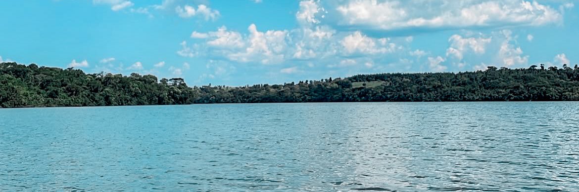tonini_pledo's profile banner image