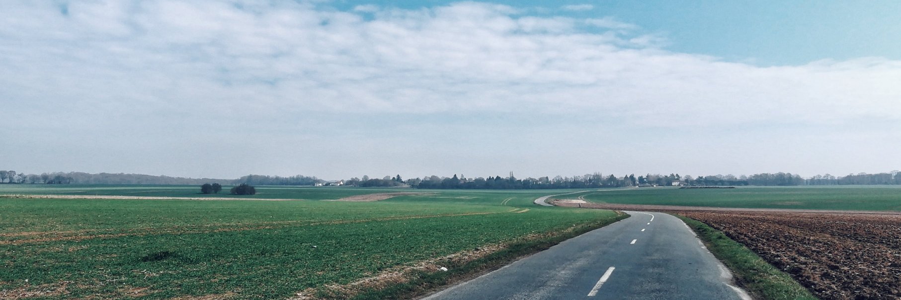 Mauricio Díaz Orlich banner