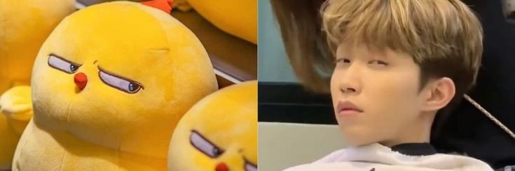 𝕧𝕖✦ banner