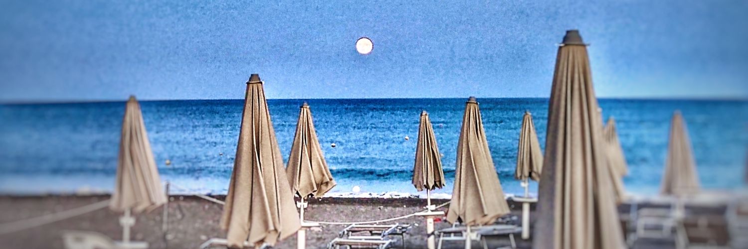 angelo lionetti banner