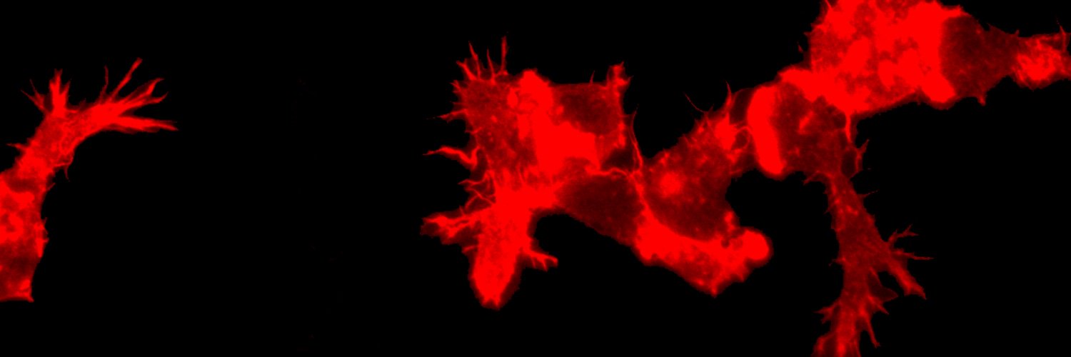 OnfeltLab's profile banner image