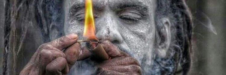 Berduş banner