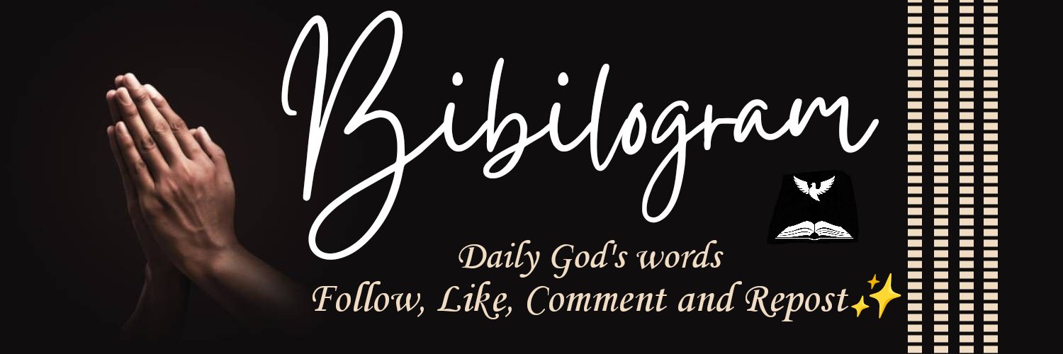 Bibilogram's profile banner image