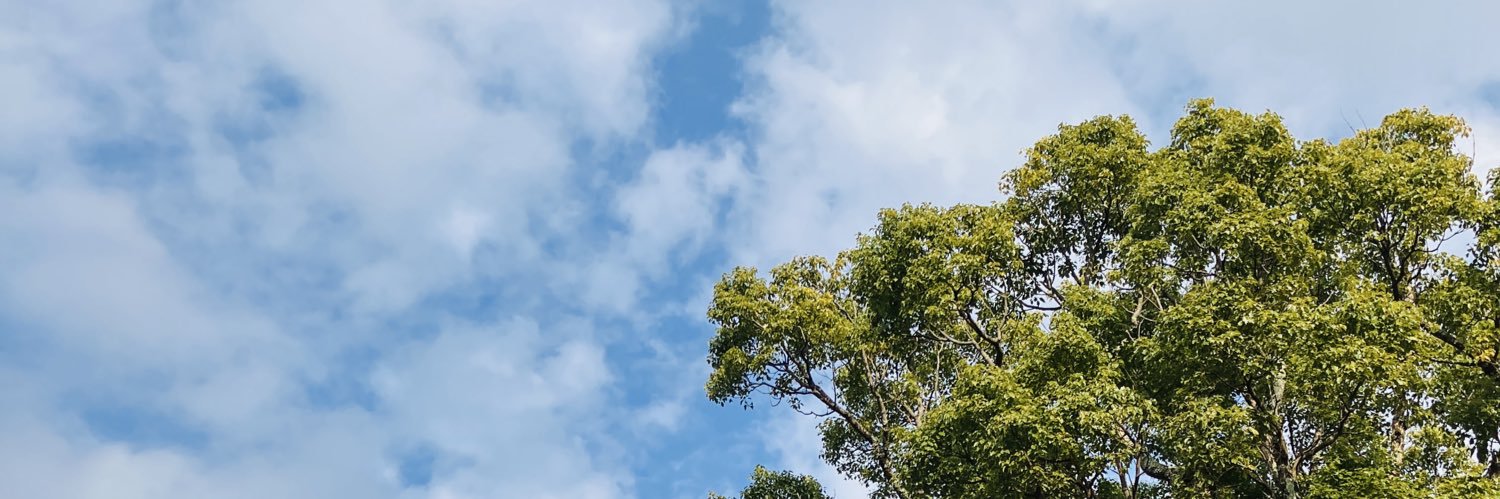 bepo201908's profile banner image