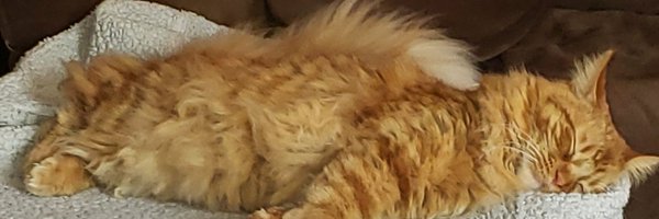 MFischerHawley Profile Banner