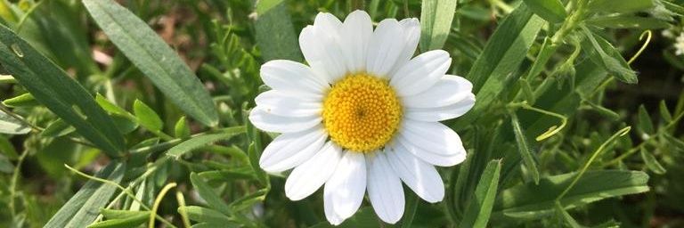 Hemire031's profile banner image