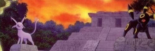 beta 🍉's banner