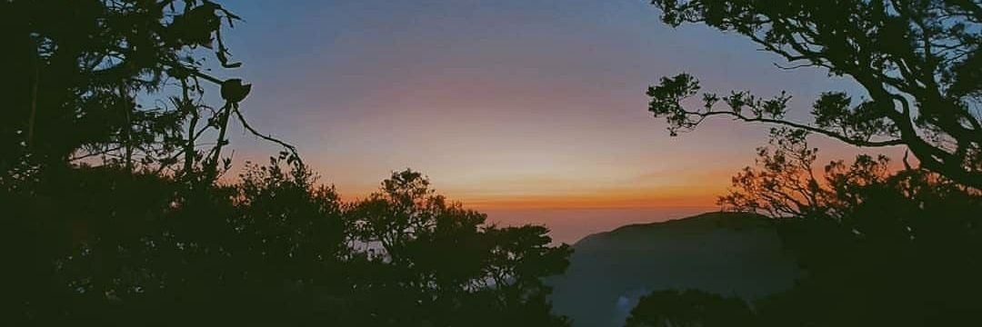iniMardani's profile banner image