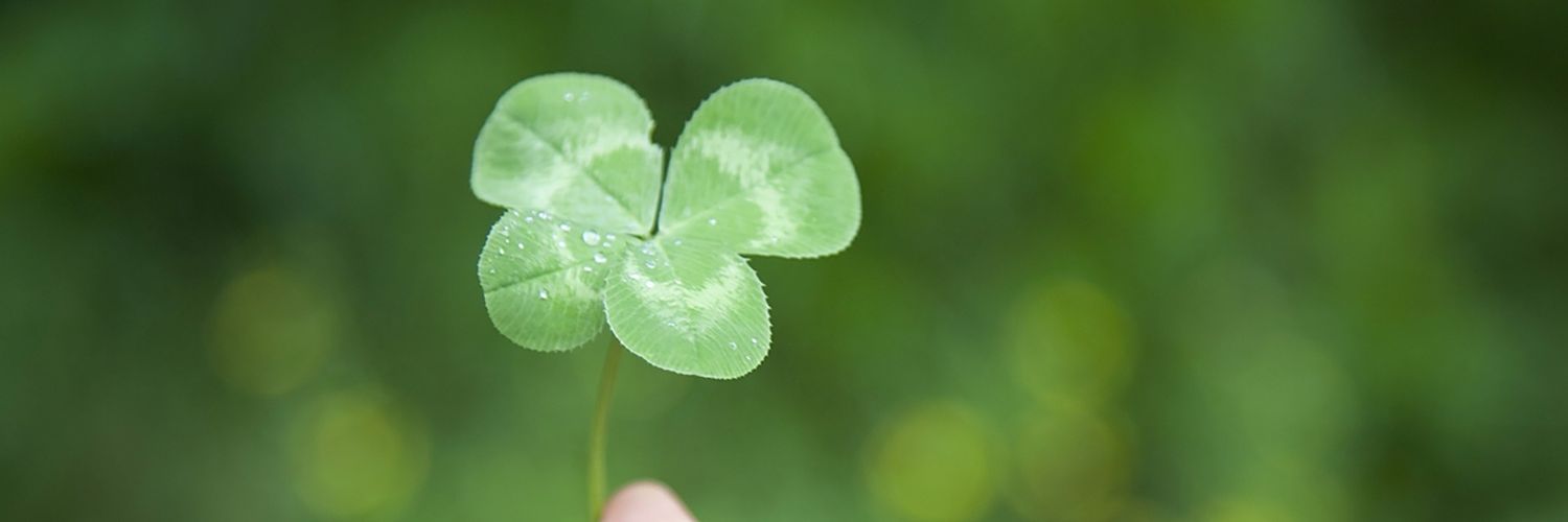 lorieamy's profile banner image