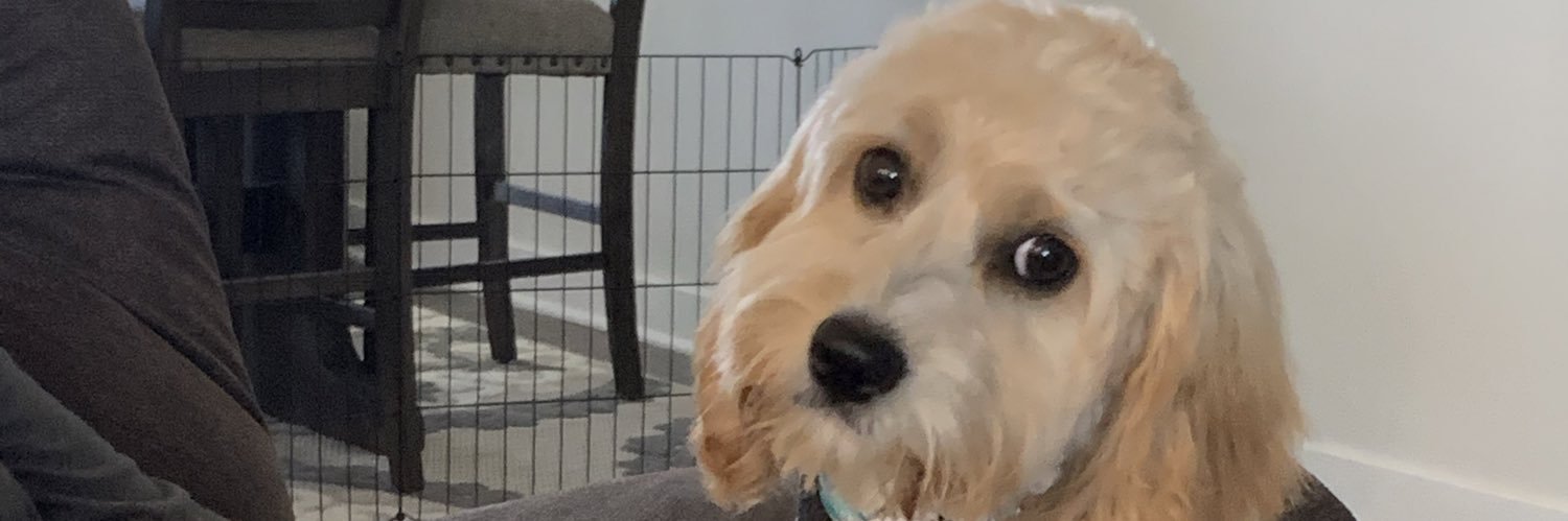hurt_roger's profile banner image