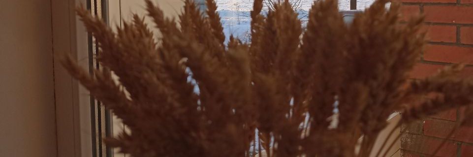 кажется, Фирушка banner