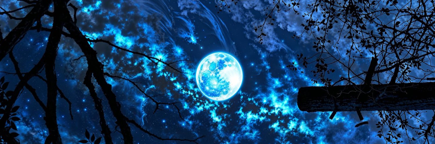 pingomylingo's profile banner image