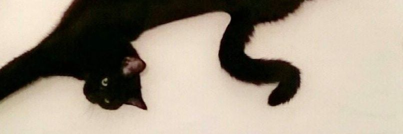 muertifero's profile banner image
