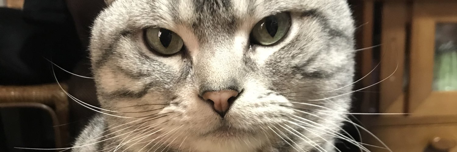 musoutenseix2's profile banner image