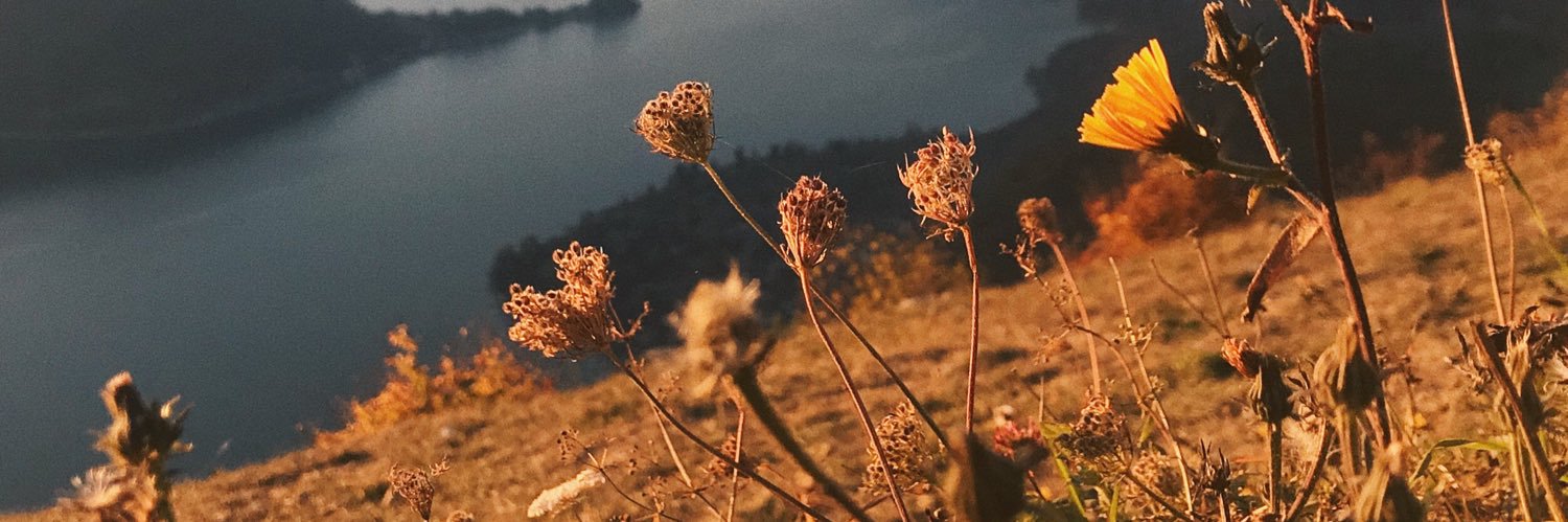 cecidelrioc's profile banner image