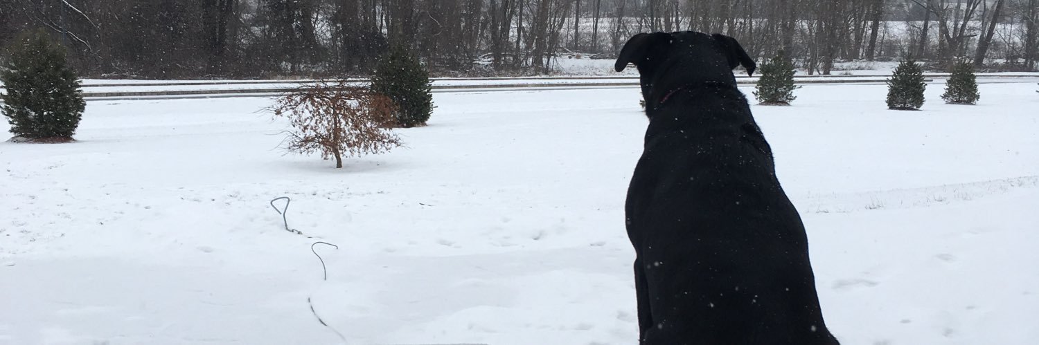 jaymegoldkind's profile banner image
