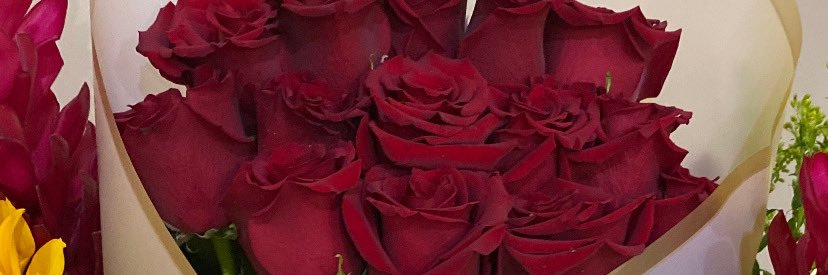 gfreirev_'s profile banner image