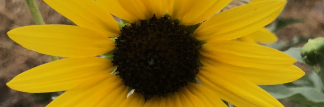 cantu1122's profile banner image