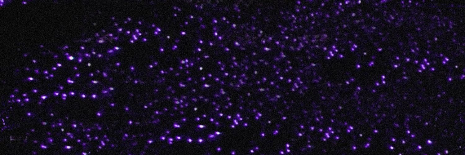 온리포유 포카 양도 Poca Yangdo banner