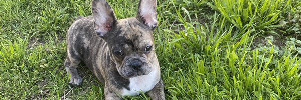 MR_Elevated Profile Banner